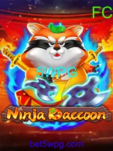 NinjaRaccoon